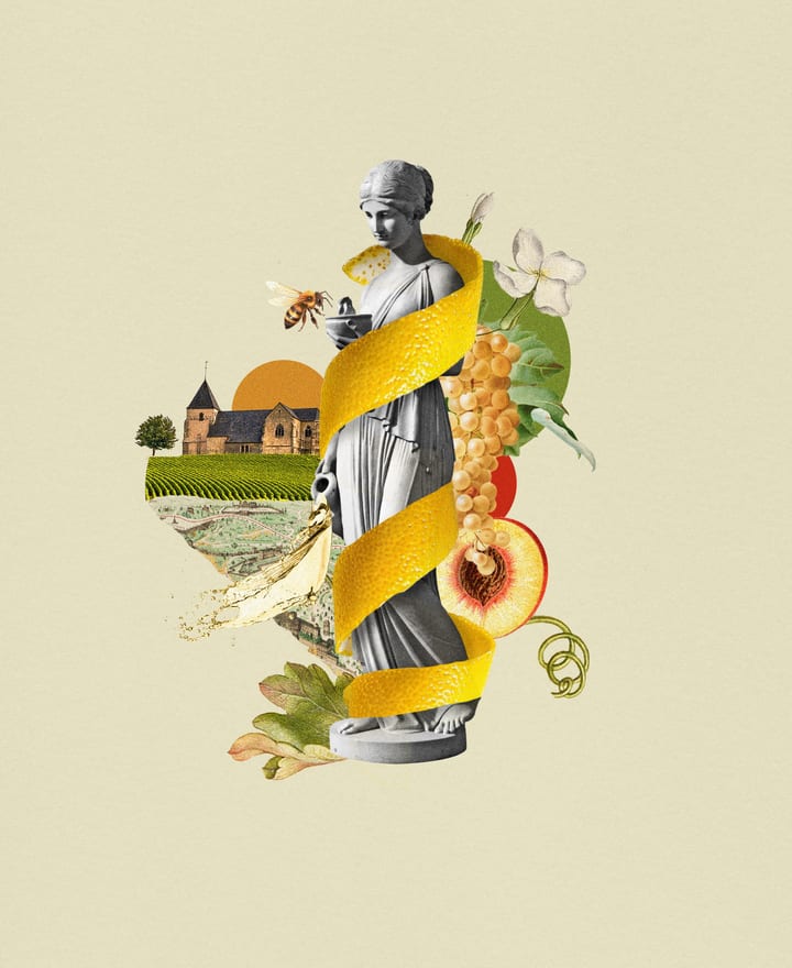 wine, digital collage illustration